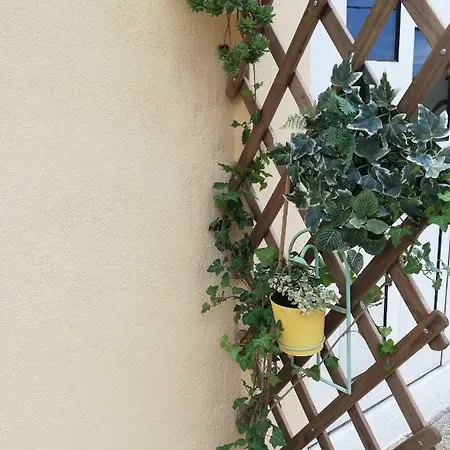 Zvijezda Mora * Sibenik